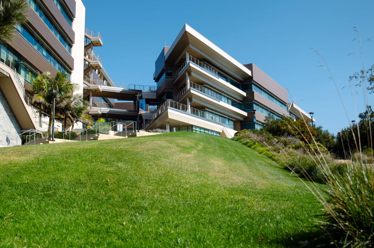 Modern Oasis
