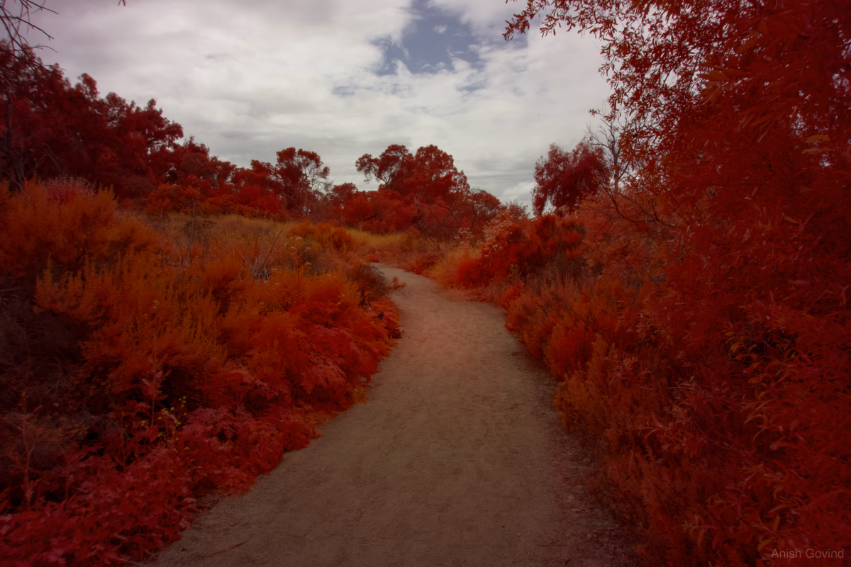 Crimson Pathway