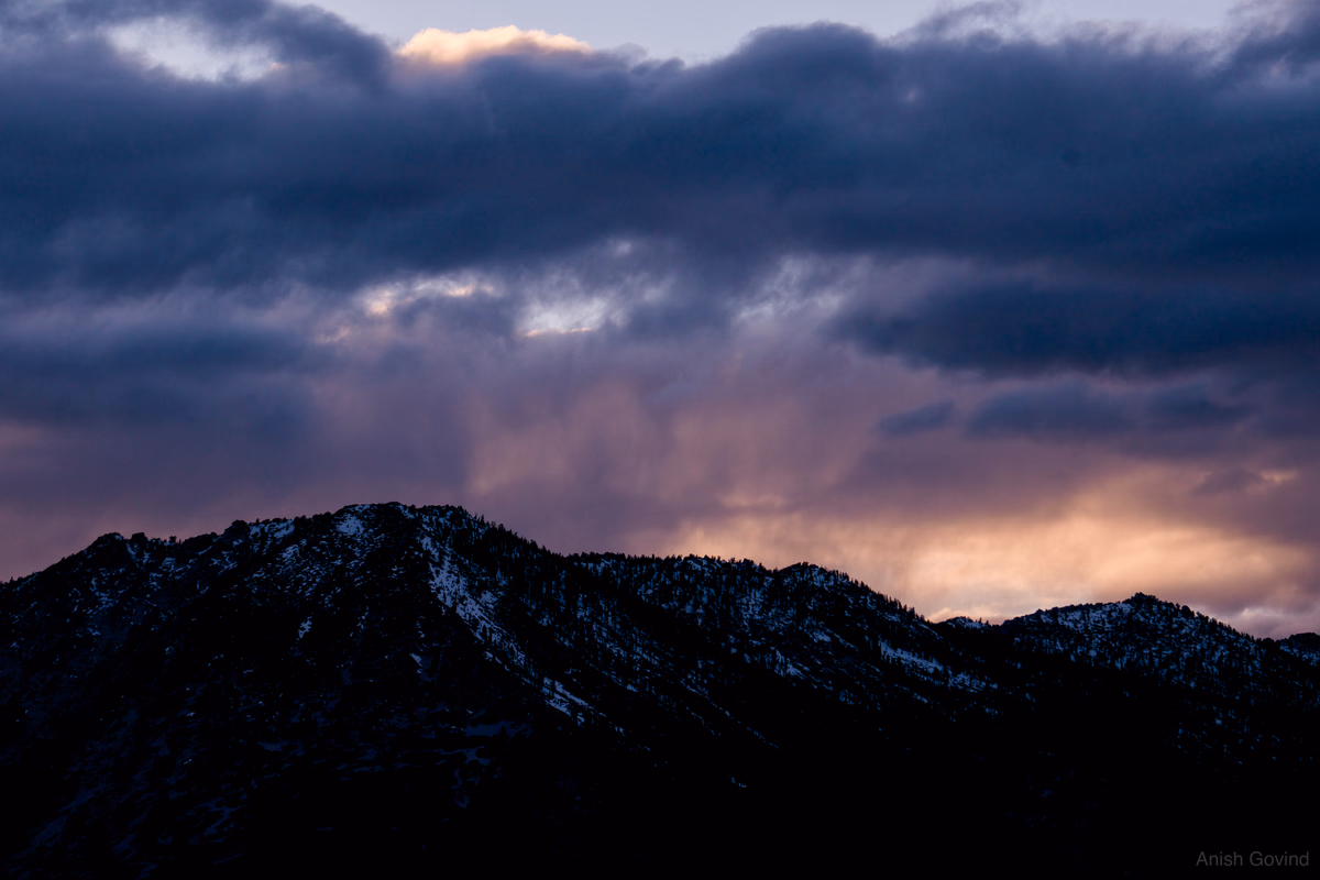 Whispers of Twilight