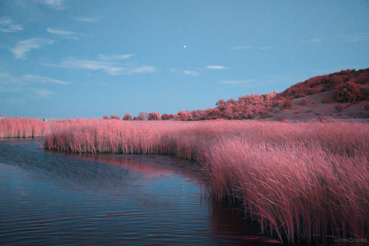 Whispers of Twilight